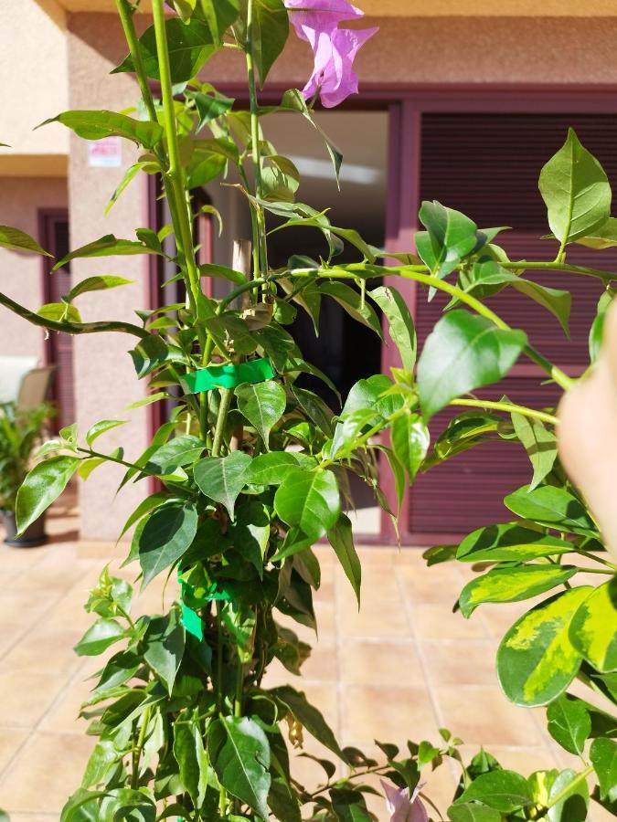 Vivienda Vacacional Compartida Radazul Bed and Breakfast Exterior foto